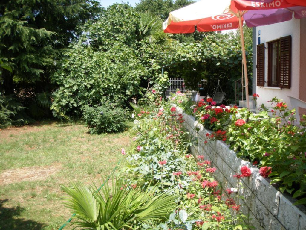 Apartments Katja Poreč Zewnętrze zdjęcie