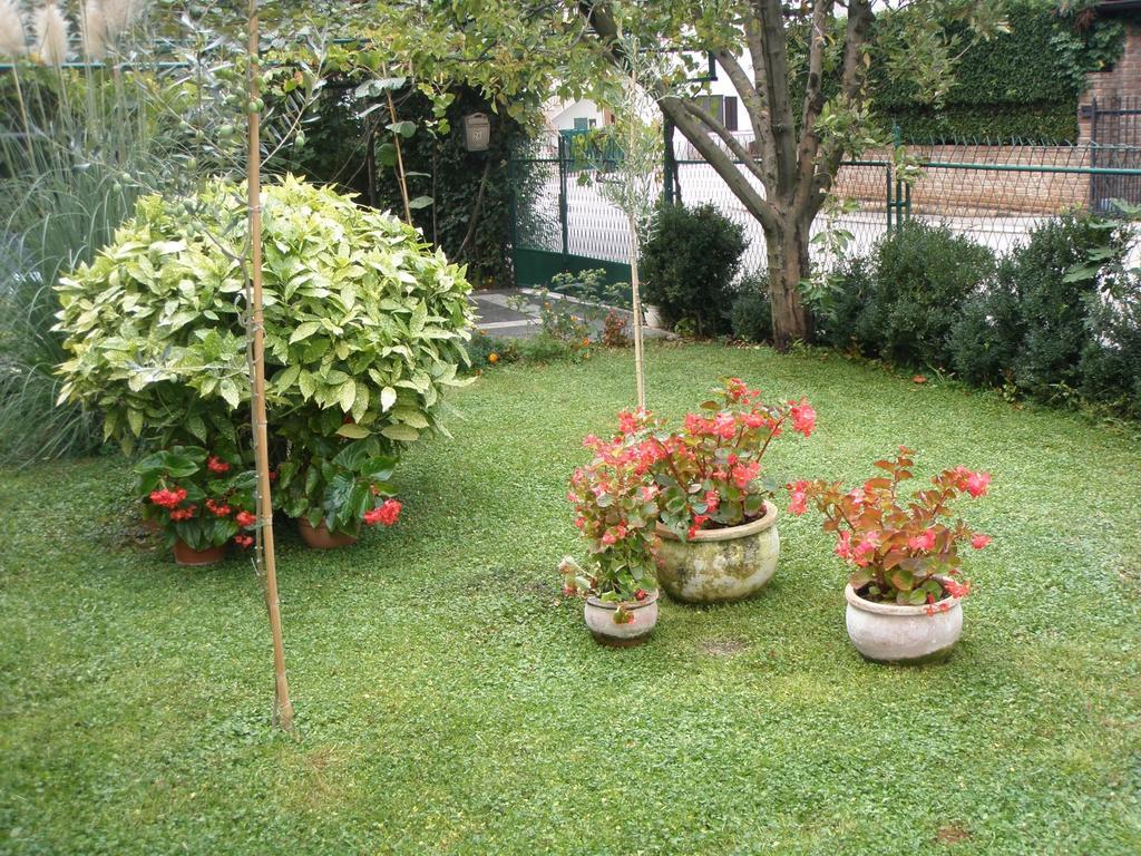 Apartments Katja Poreč Zewnętrze zdjęcie