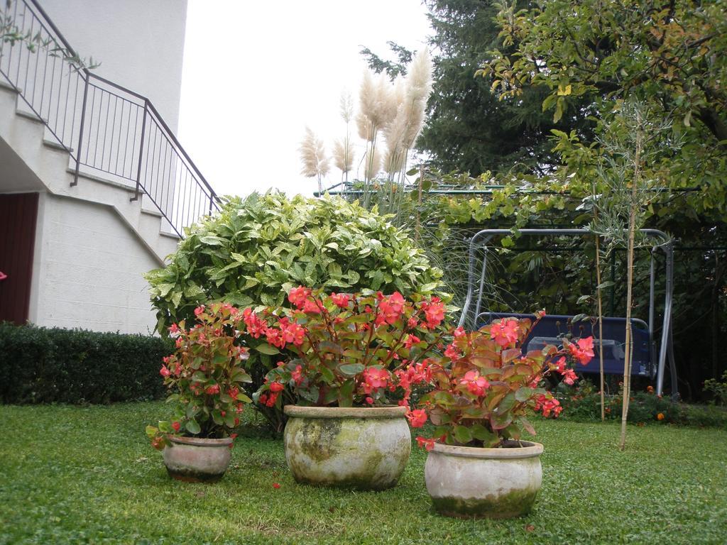 Apartments Katja Poreč Pokój zdjęcie