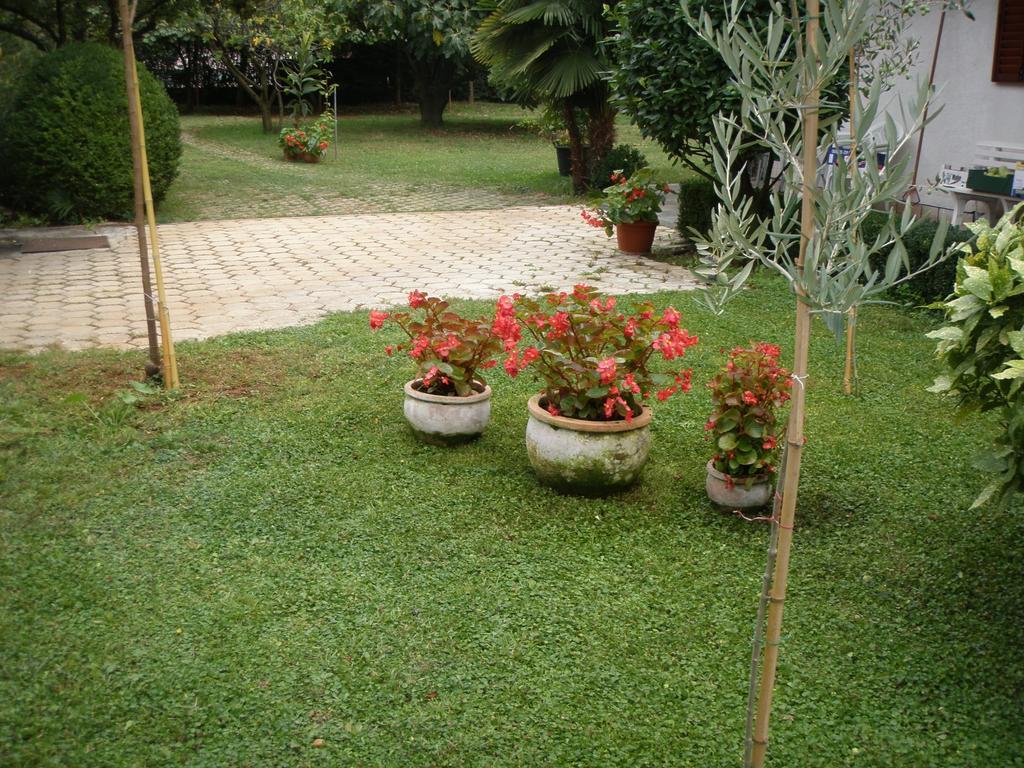 Apartments Katja Poreč Pokój zdjęcie